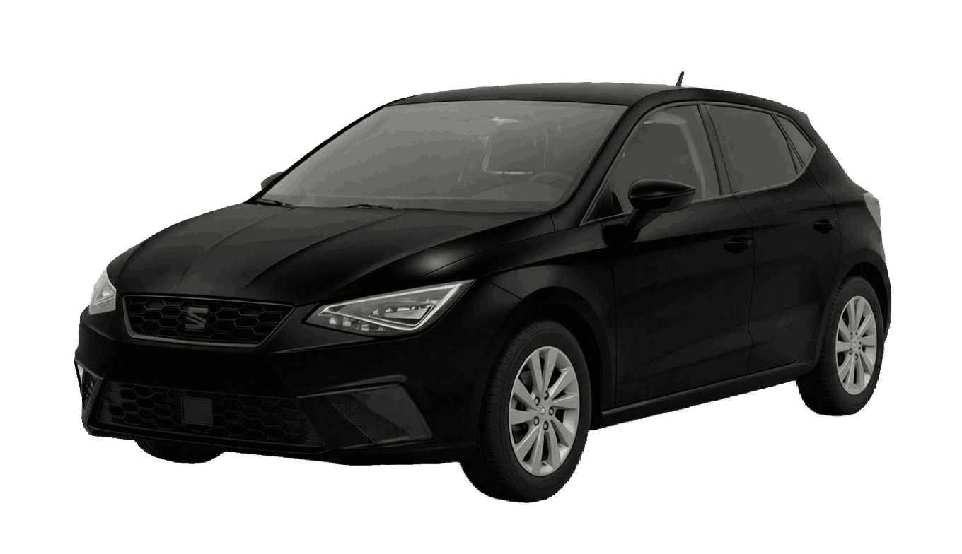 Seat Ibiza FR